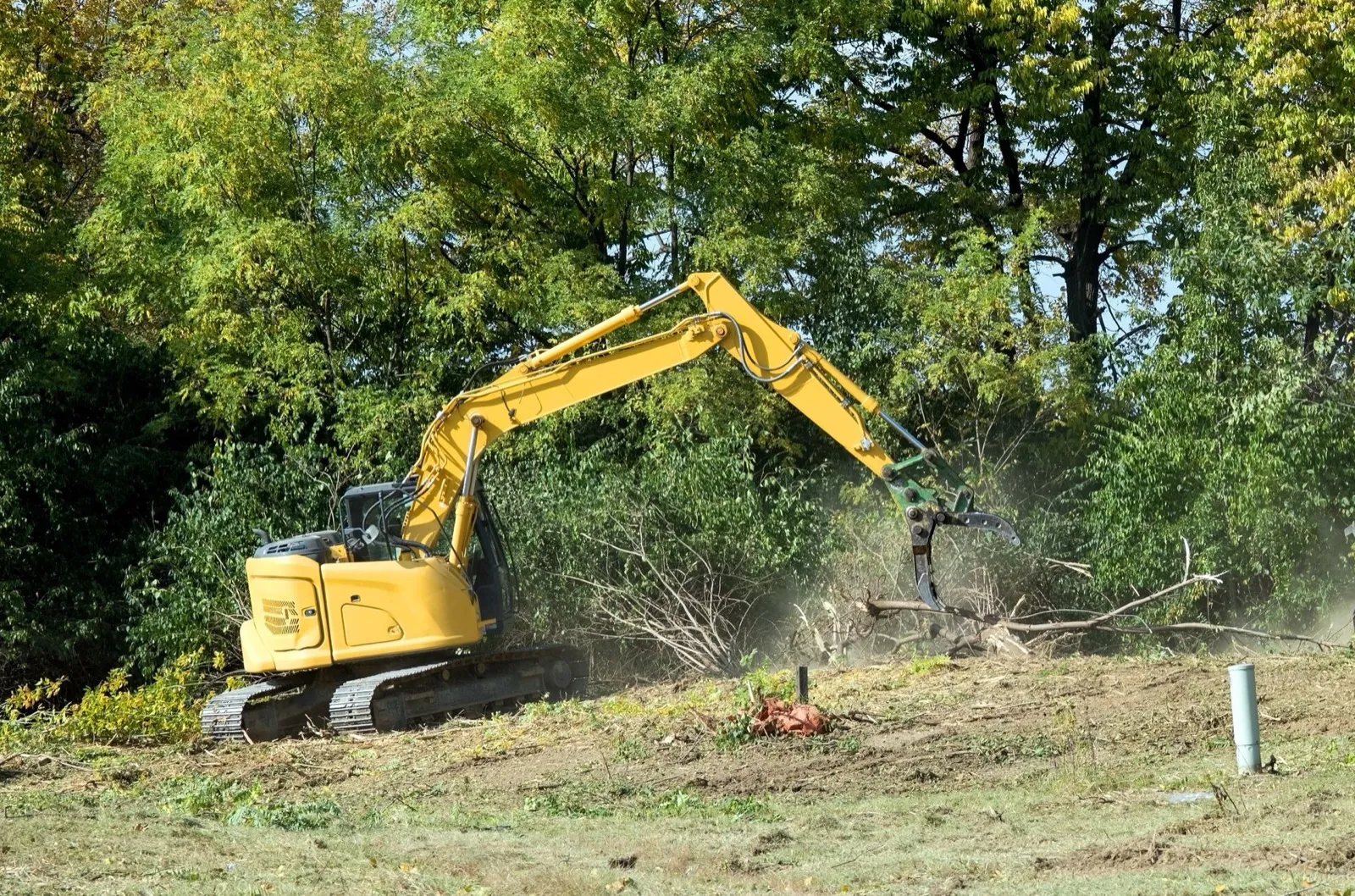 Land Clearing in Pownal, VT